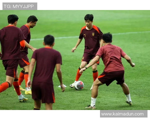 武汉足球队在钻石联赛中的崛起与挑战之路全景回顾