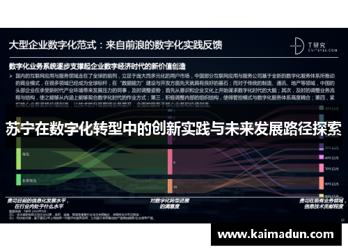 苏宁在数字化转型中的创新实践与未来发展路径探索